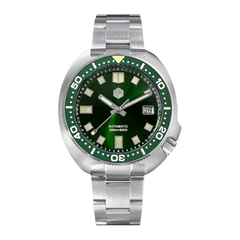 San Martin Turtle
